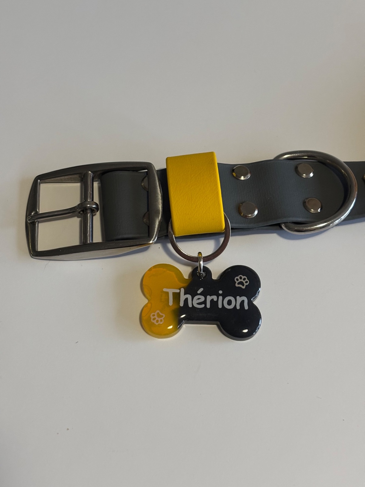 Médaille en résine personnalisée aux couleurs du collier